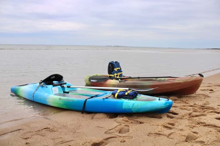 Paddle Board Rental