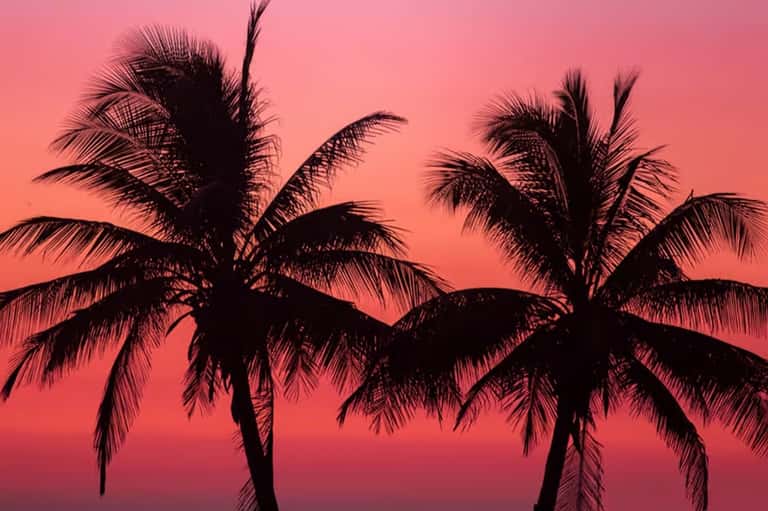 Off Hours: Sunday Reset