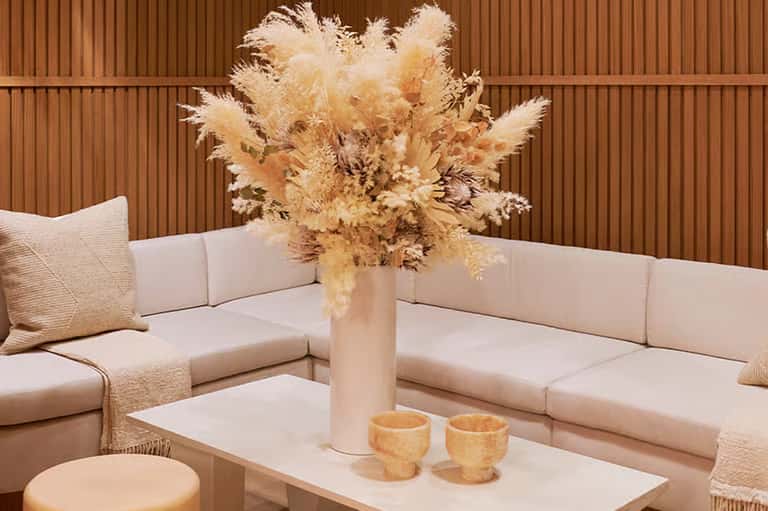 Limited-Time Offer: 30-Minute Astrology Reading + Spa Access