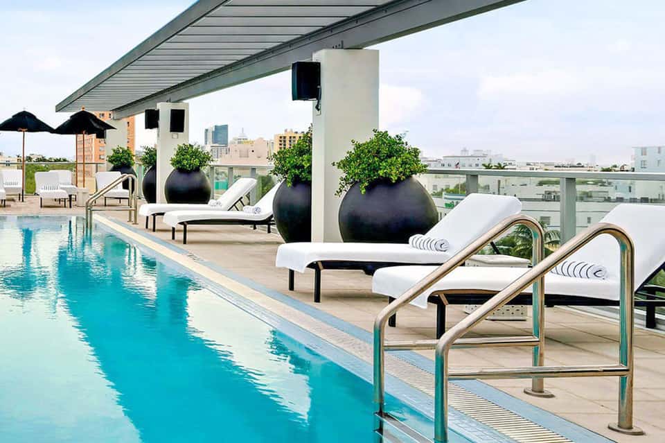 Rooftop infinity pool with lounge chairs, black planters, and city skyline views