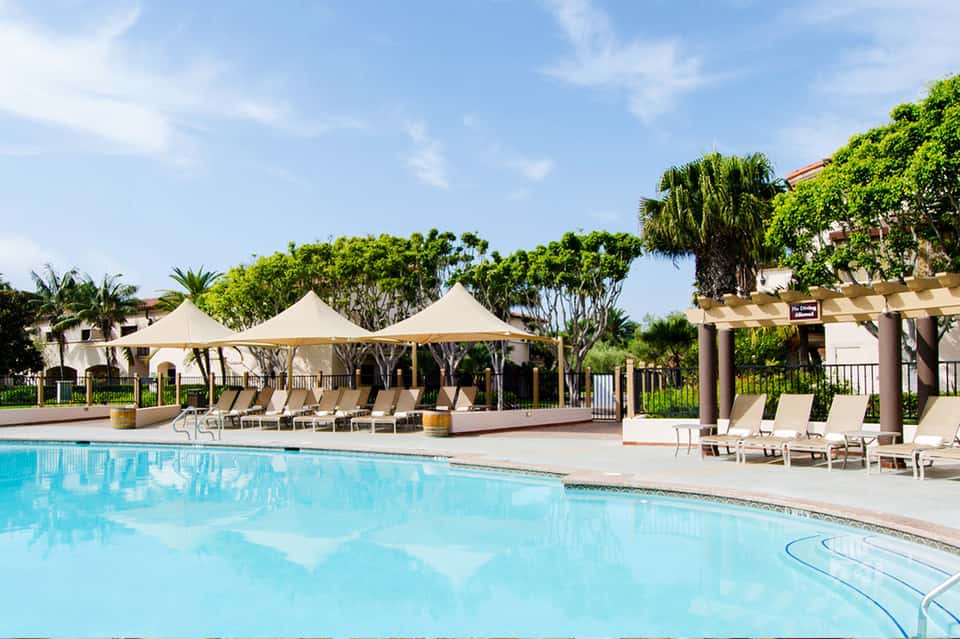 Resort pool with cream tent structures, lounge chairs, and palm trees under blue sky