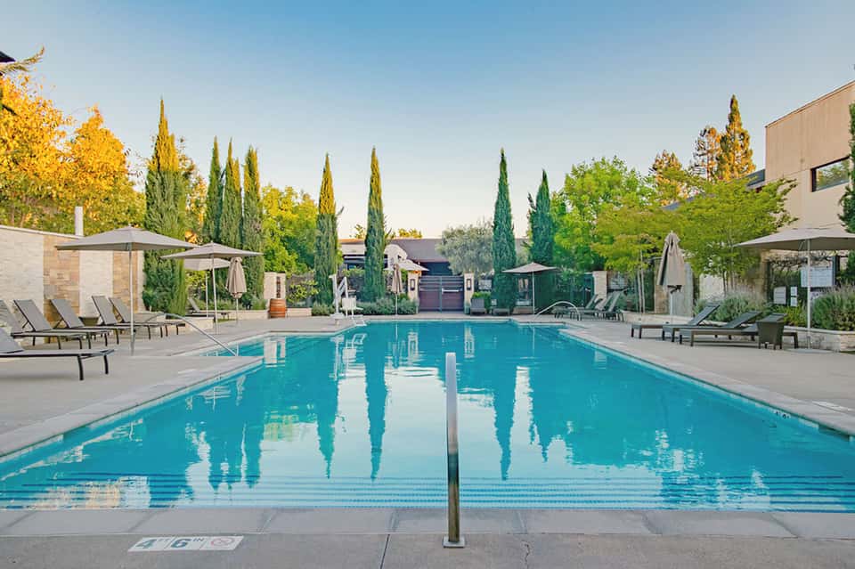 Modern resort lap pool with cypress trees, lounge chairs, and umbrellas under clear sky