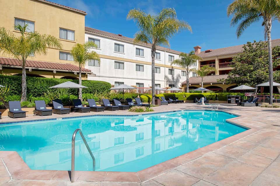 Resort swimming pool with lounge chairs, umbrellas, and palm tree-lined courtyard
