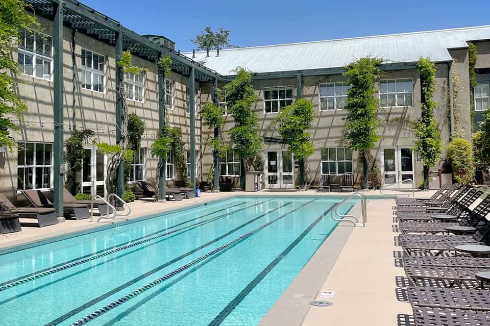 Lap pool with ivy-covered building, lounge chairs, and clear sunny day at resort