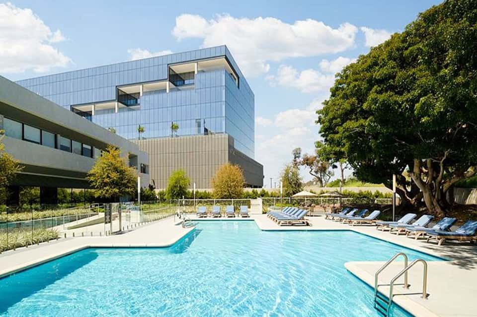Modern hotel building with glass facade and pool with lounge chairs and large tree