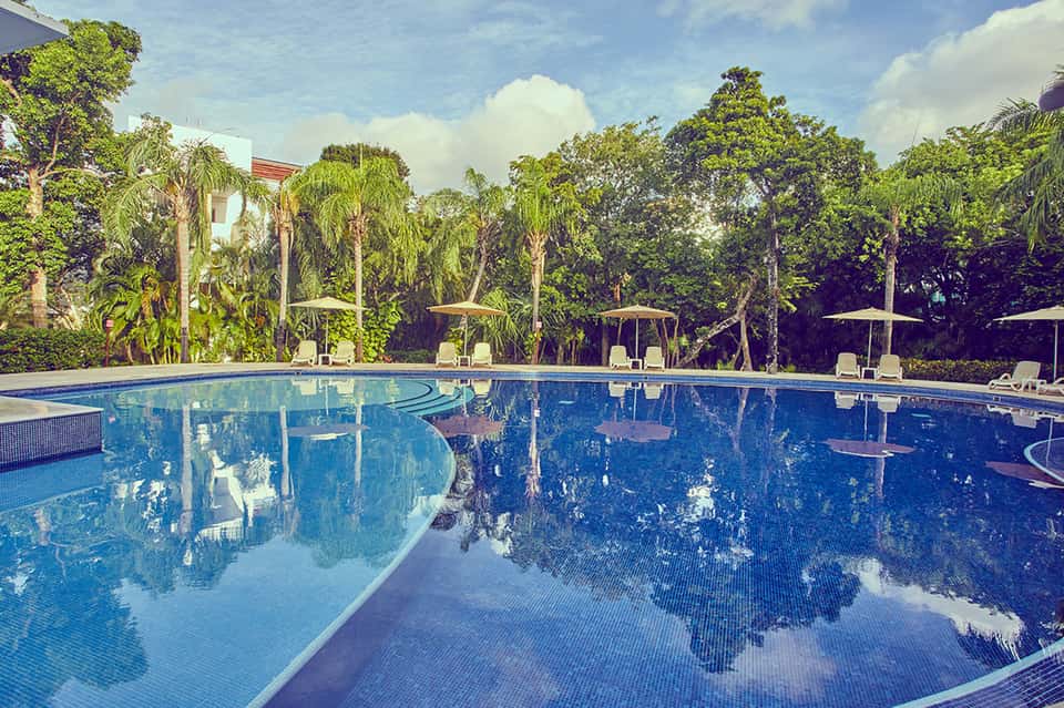 Tropical resort pool surrounded by palm trees and white umbrellas with lush landscaping
