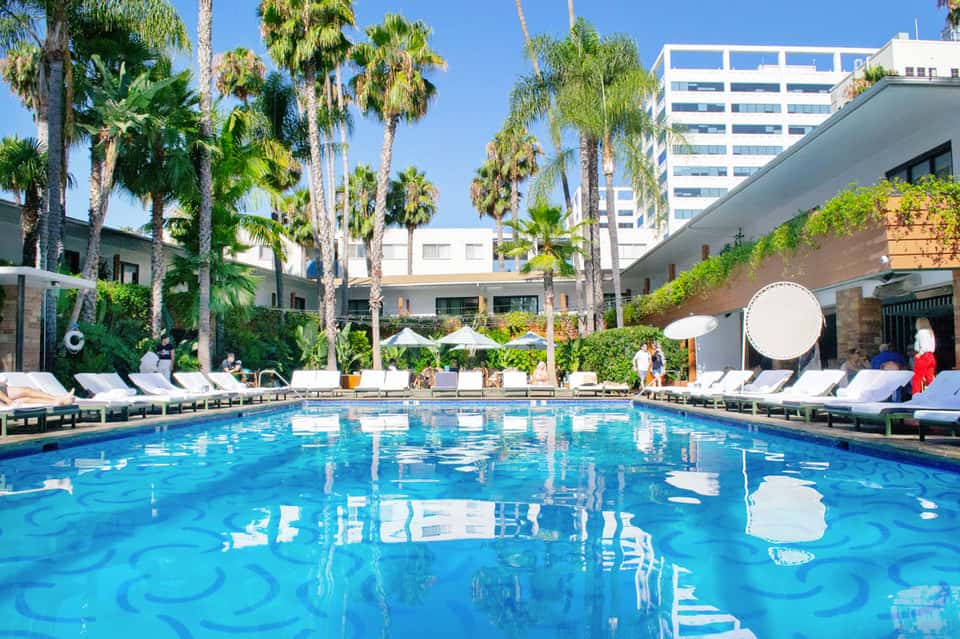 Resort pool surrounded by palm trees, lounge chairs, umbrellas, and modern hotel buildings under clear blue sky