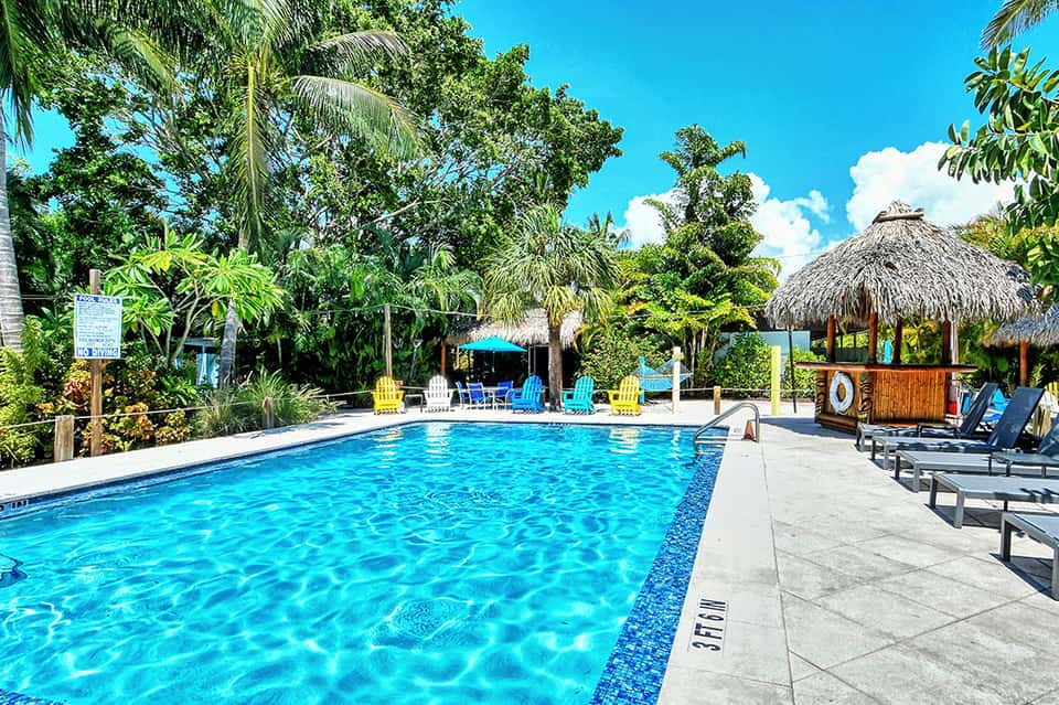 Tropical resort pool surrounded by lush vegetation, thatched-roof bar, and lounge chairs under palm trees