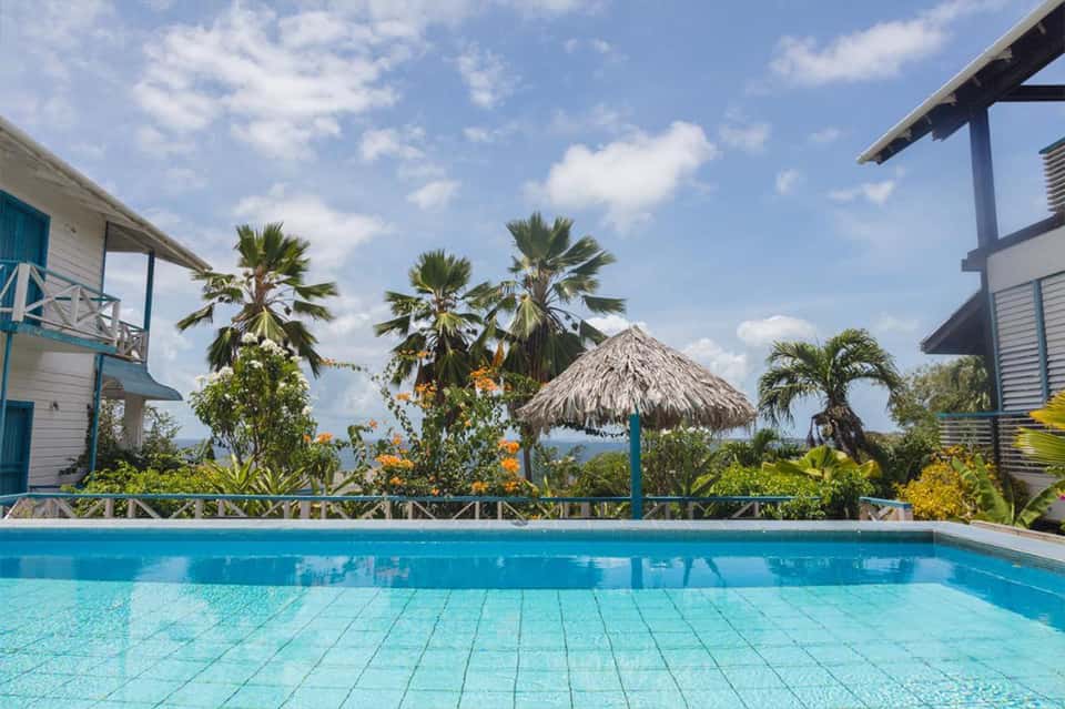 Tropical resort pool with thatched roof palapa, palm trees, and ocean view in background