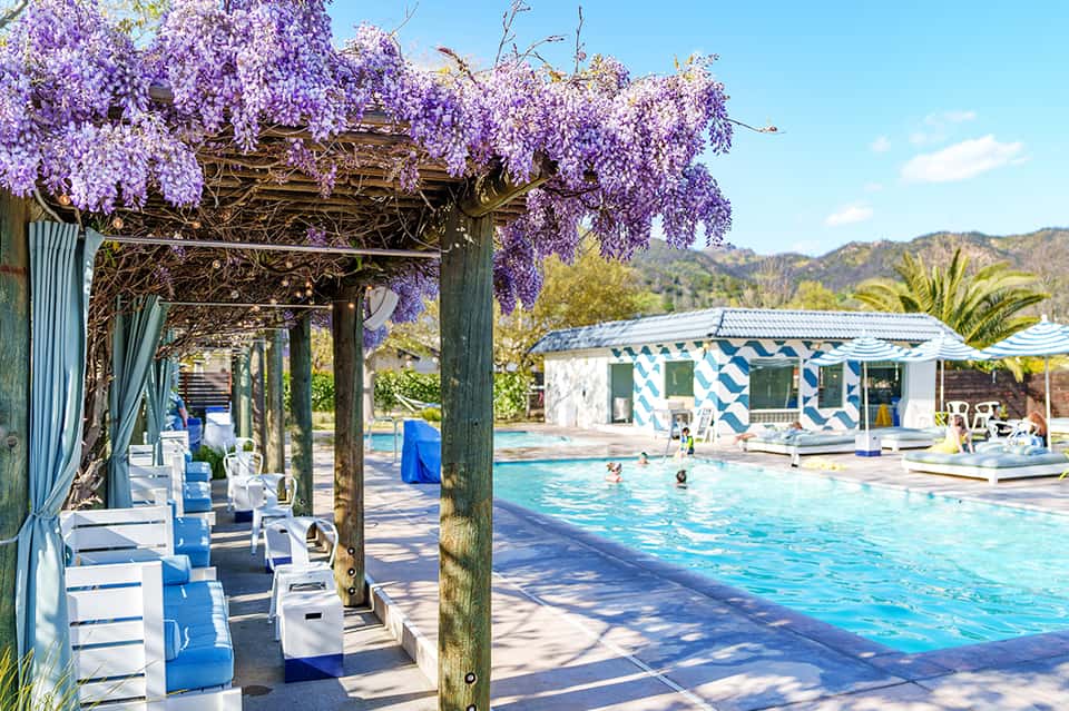 Resort pool deck with pergola covered in purple wisteria flowers and mountain backdrop