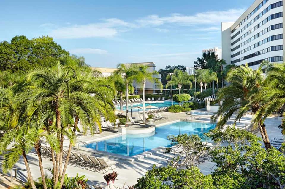 Tropical resort pool area with palm trees, lounge chairs, and multi-story hotel building under clear blue sky