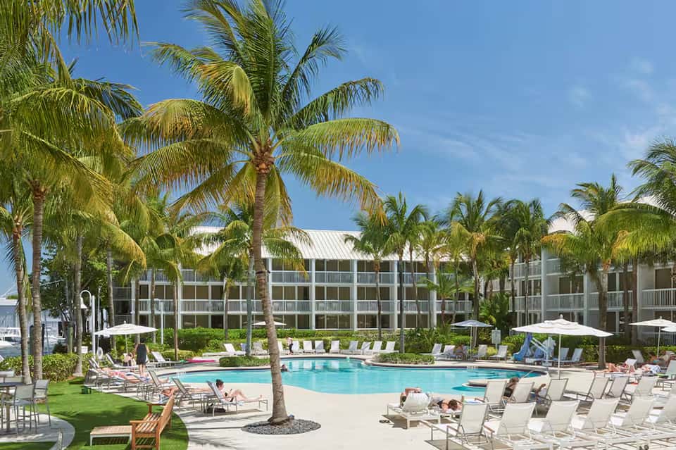 Beachfront resort pool area with palm trees, lounge chairs, white umbrellas, and waterfront building