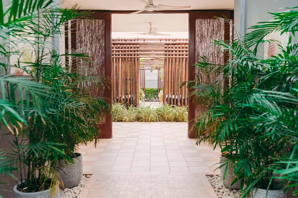 Wooden lattice doors opening into a lush courtyard with potted palm plants and stone pathways