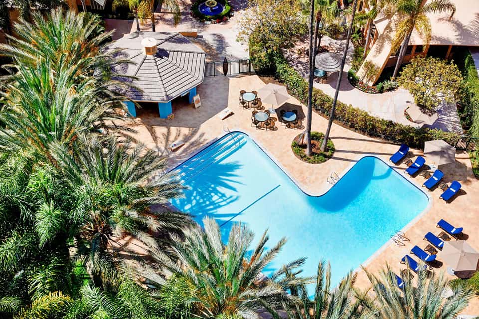 Aerial view of curved resort pool with palm trees, lounge chairs, and shaded seating areas