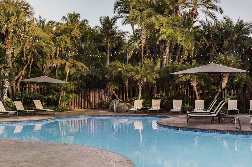 Resort pool surrounded by palm trees, lounge chairs with umbrellas, and tropical landscaping
