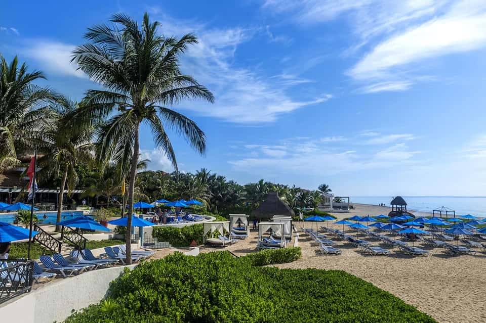 Tropical beach resort with blue umbrellas, palm trees, loungers, and ocean view under clear sky