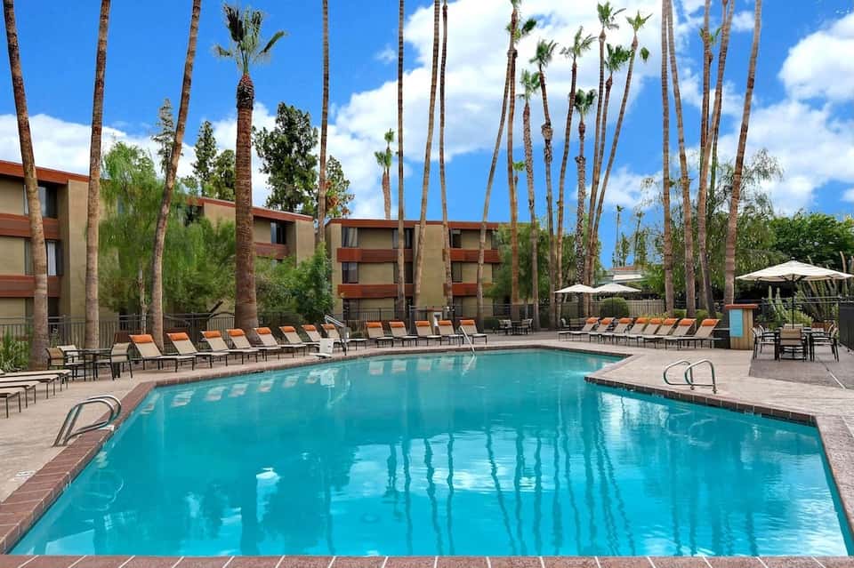 Large resort pool with tall palm trees, lounge chairs, and tan apartment buildings