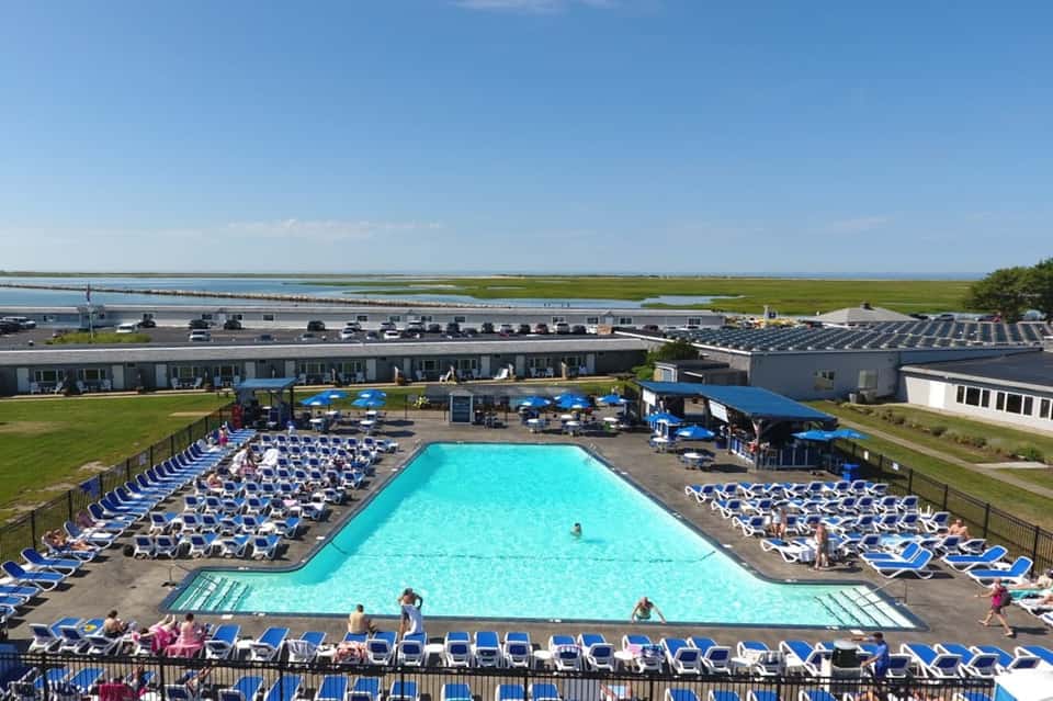 Large outdoor swimming pool with blue loungers and umbrellas surrounded by green lawn and coastal views