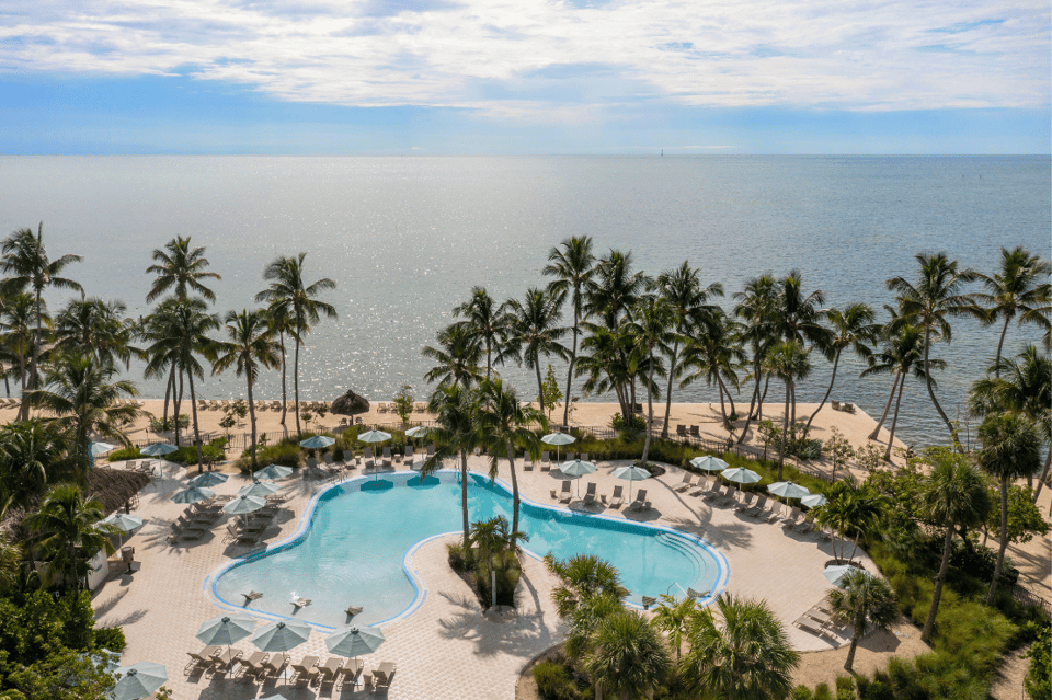Aerial view of curved resort pool with umbrellas, beach, and palm trees by ocean