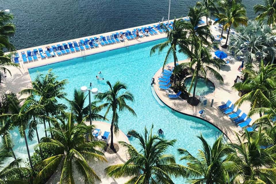 Aerial view of large resort pool with palm trees and lounge chairs