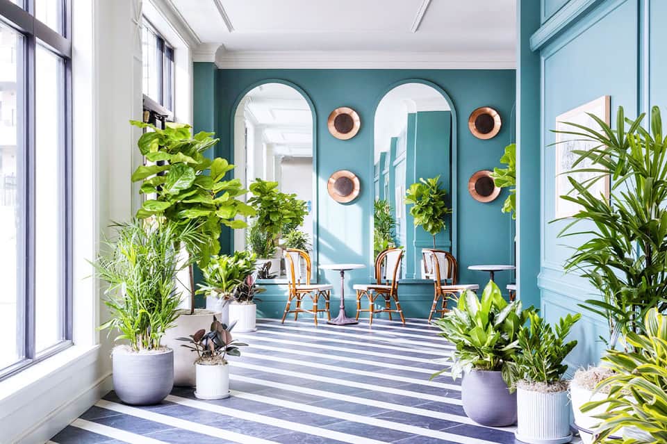 Bright hallway with teal walls, arched mirrors, potted plants, striped flooring, and natural light
