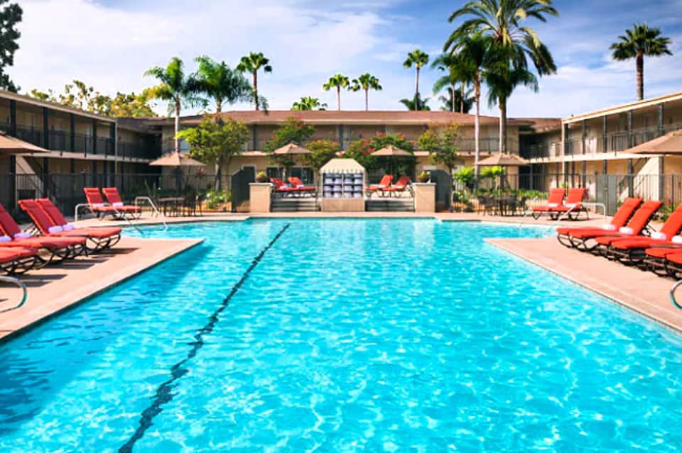 Resort courtyard with Olympic-length swimming pool, red lounge chairs, and palm trees under blue sky