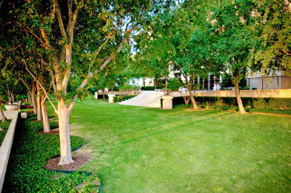Manicured lawn with mature shade trees, hedges, and pathway leading to a residential terrace