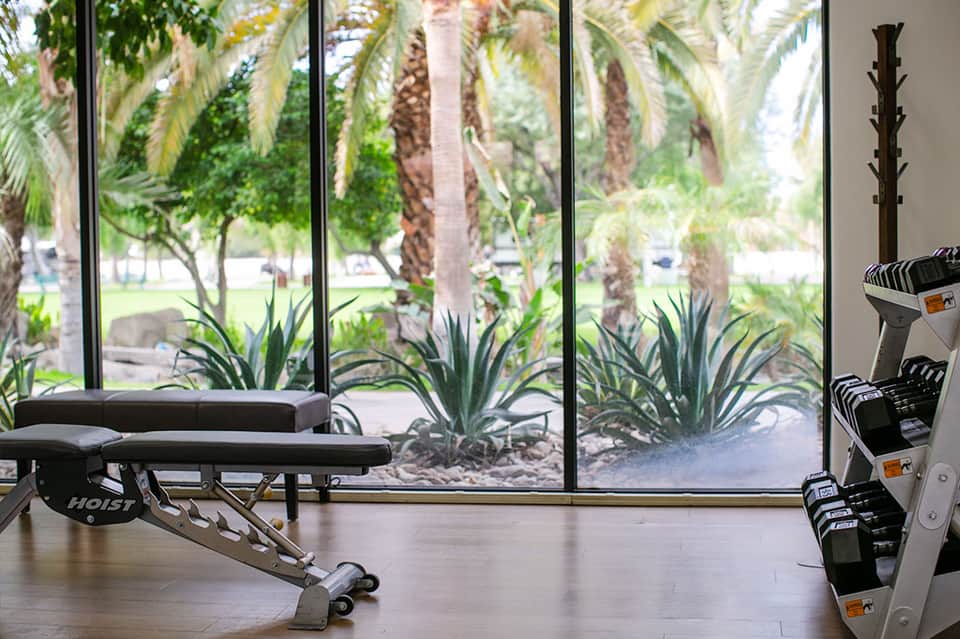Fitness center with equipment and large windows overlooking palm trees and park