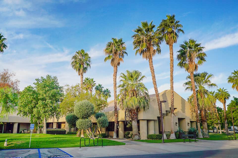 Brutalist concrete hotel building with tall palm trees on green lawn