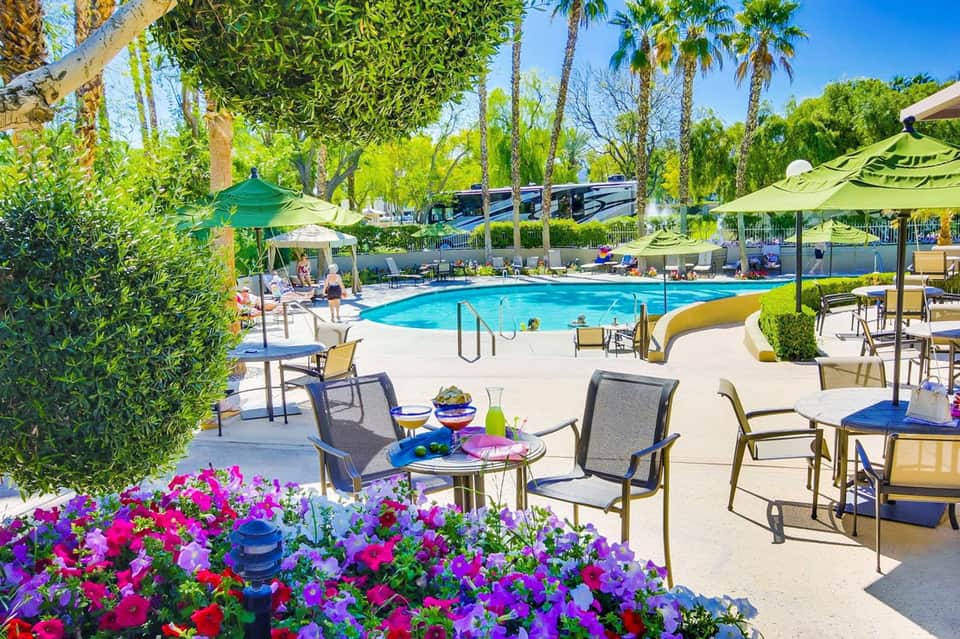 Resort pool area with lounge chairs, green umbrellas, and flowering plants