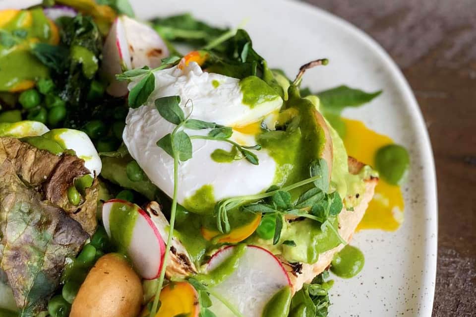 Gourmet salad plate with poached egg, greens, radish, and microgreens