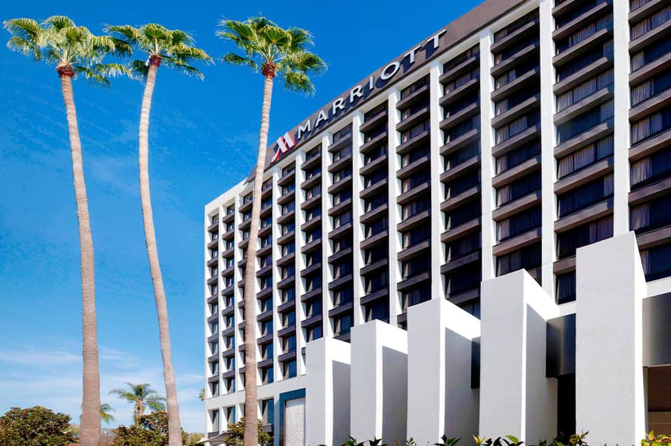 Marriott hotel exterior with palm trees and white architectural elements against blue sky