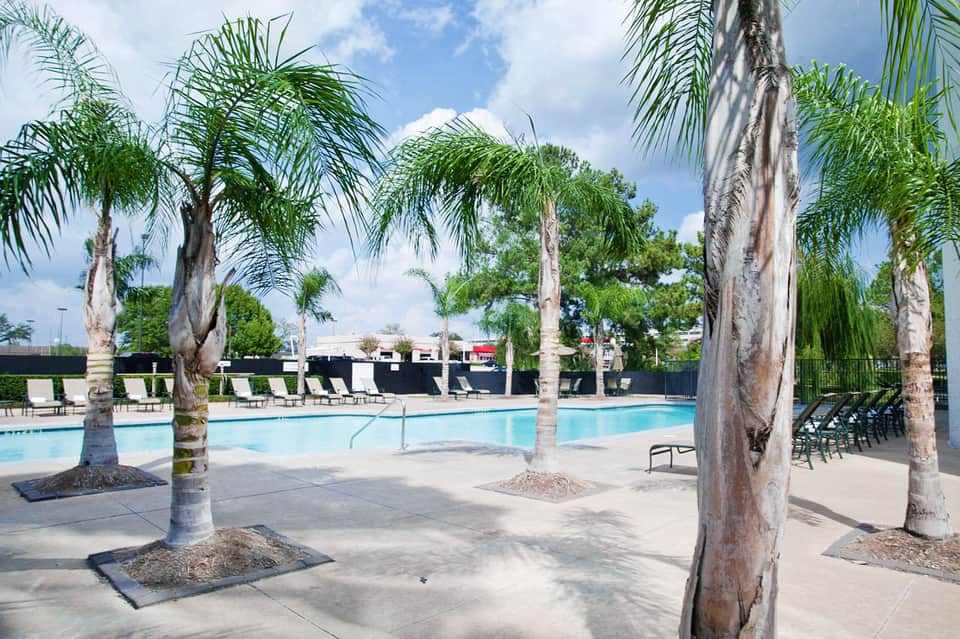 Resort pool deck with tall palm trees, loungers, and building structures in background