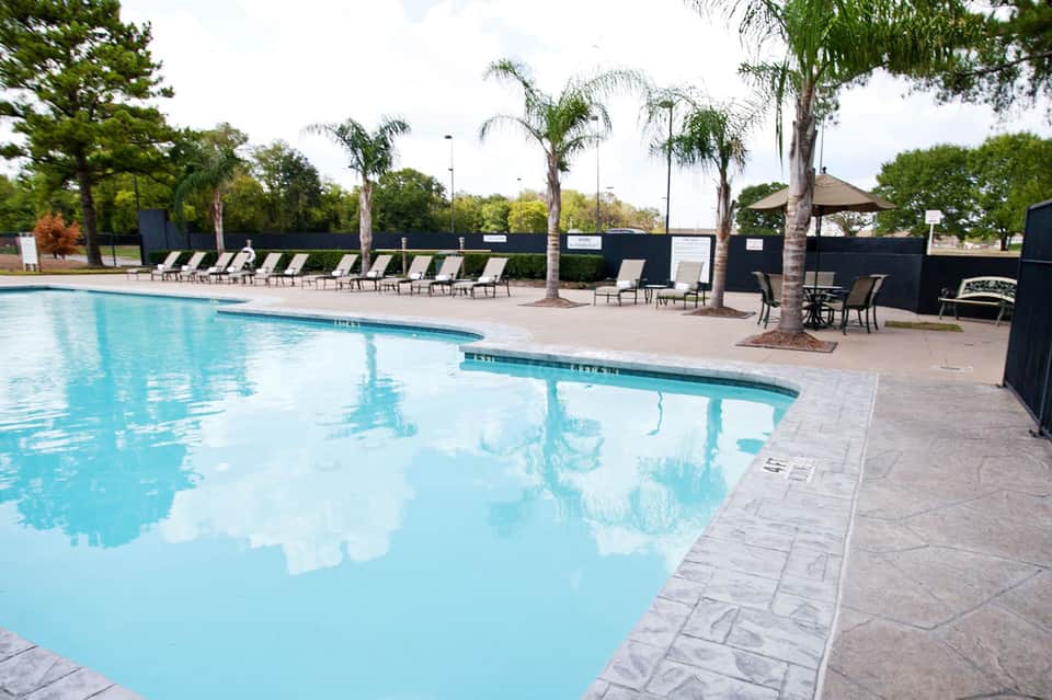 Resort swimming pool with lounge chairs and palm trees under clear sky