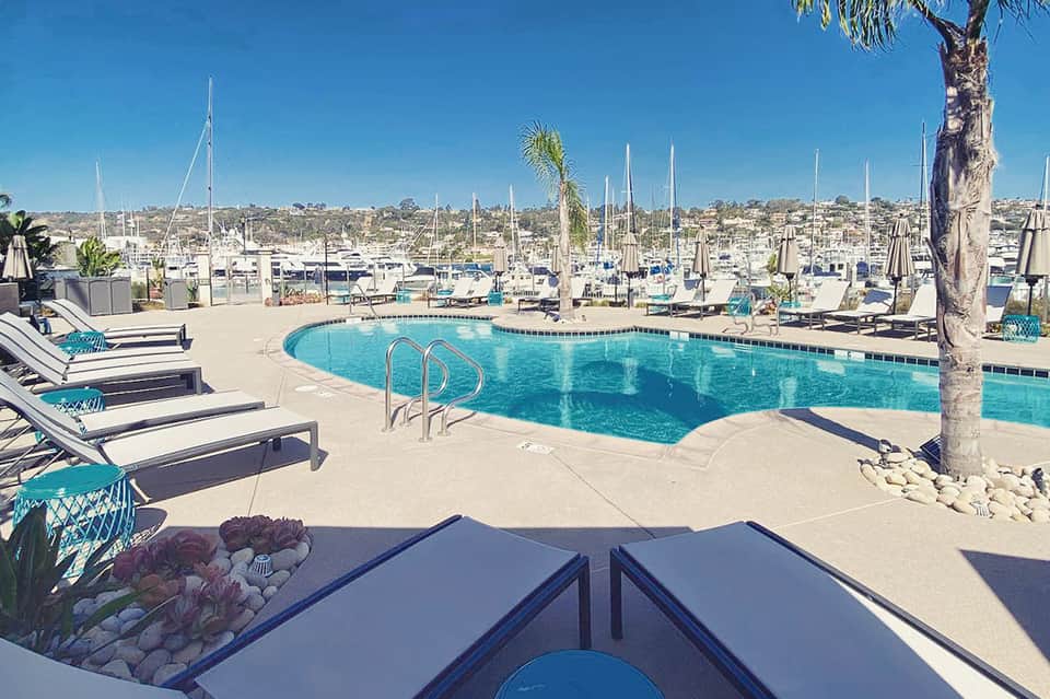 Resort pool with lounge chairs and palm tree overlooking marina with sailboats
