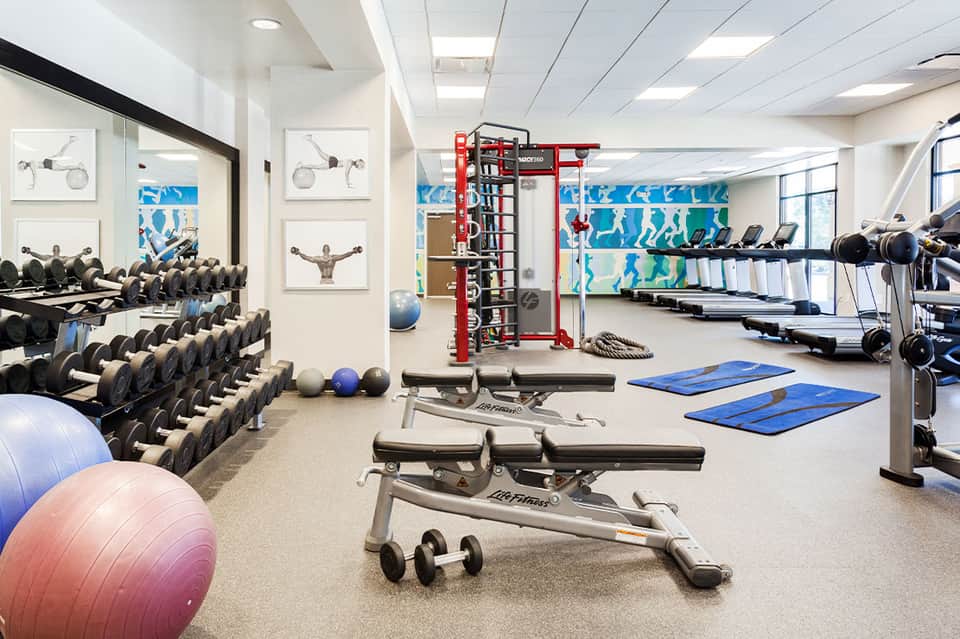 State-of-the-art fitness center with dumbbells, treadmills, and strength training equipment