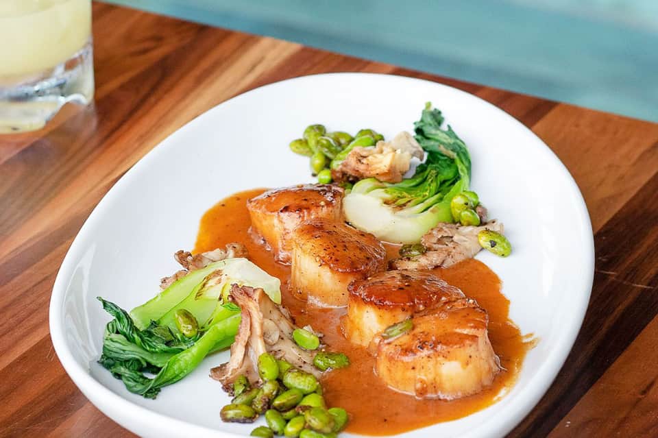 Plated seared scallops with bok choy and edamame in brown sauce on white plate