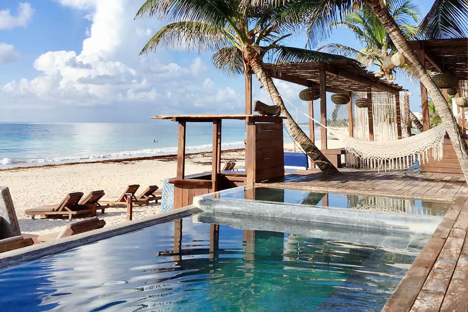 Beachfront infinity pool with wooden deck, hammock, and ocean view surrounded by palm trees