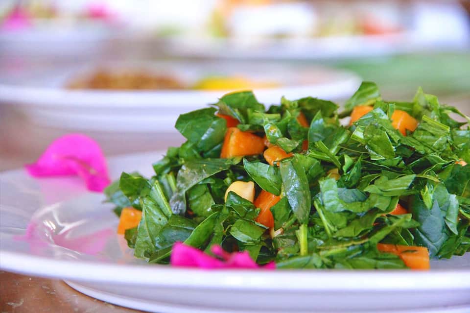 Plate of fresh green salad with orange vegetables and pink flower garnish