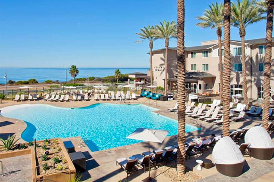 Beachfront resort pool area with palm trees, lounge chairs, and ocean view