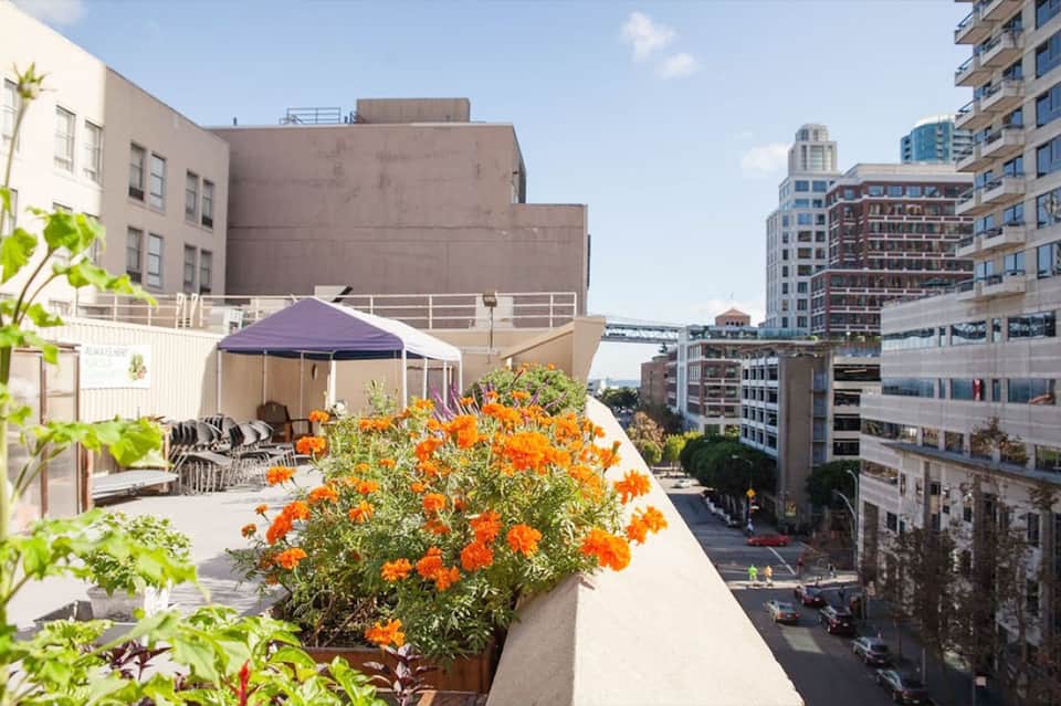 Urban rooftop terrace with purple umbrella, flowering plants, and city skyline views