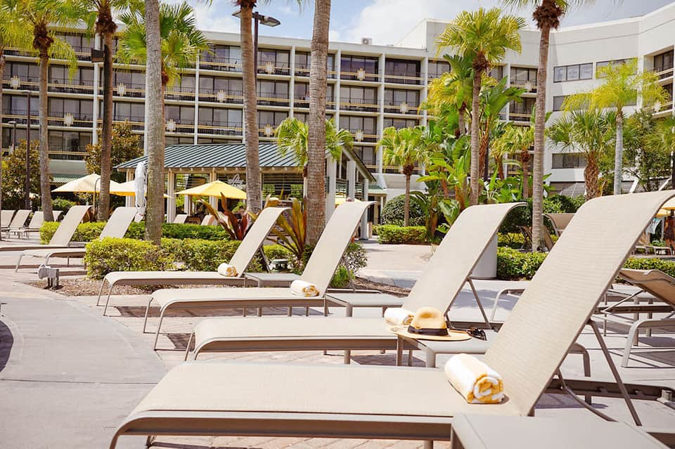 Lounge chairs with towels arranged on a pool deck surrounded by palm trees