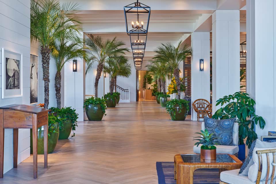 Elegant palm-lined corridor with white columns, wooden furniture, and modern lighting