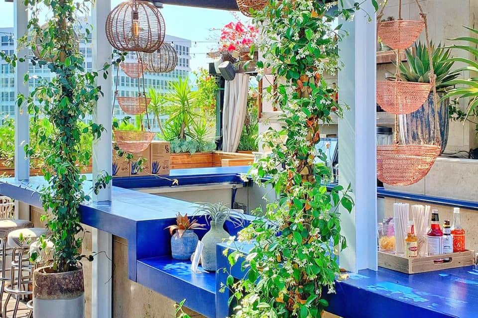 Modern rooftop bar with blue countertop, hanging planters, and city skyline views