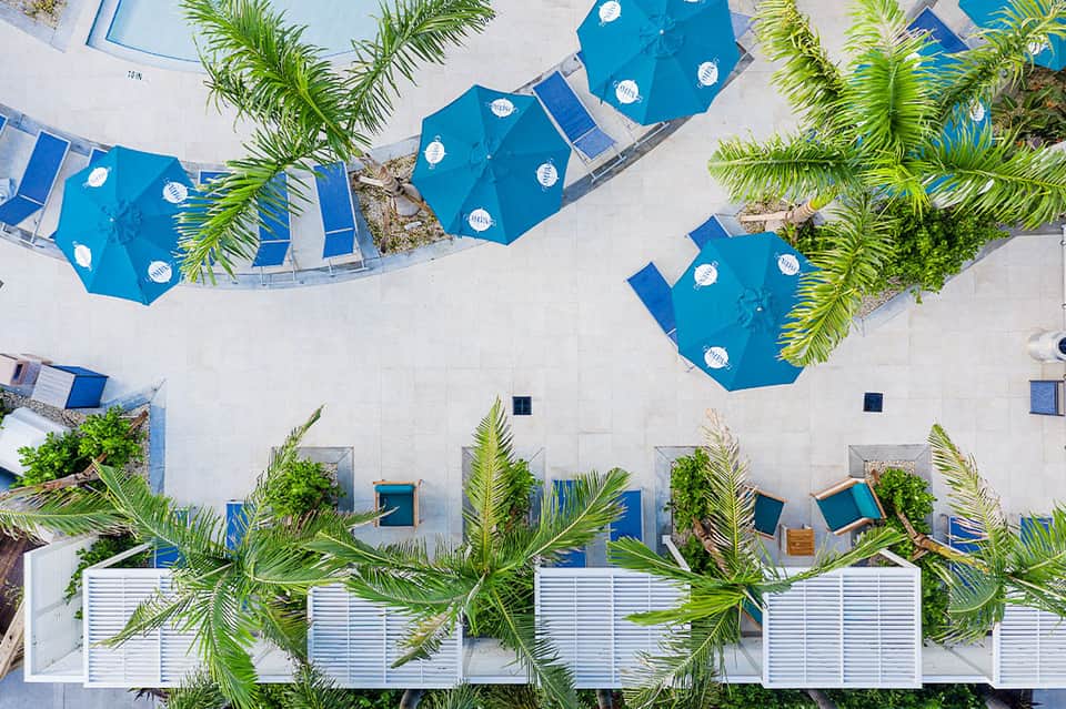 Aerial view of blue umbrellas and white loungers arranged on a pool deck with palm trees
