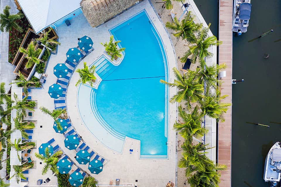 Aerial view of curved resort pool with blue umbrellas, palm trees, and waterfront dock