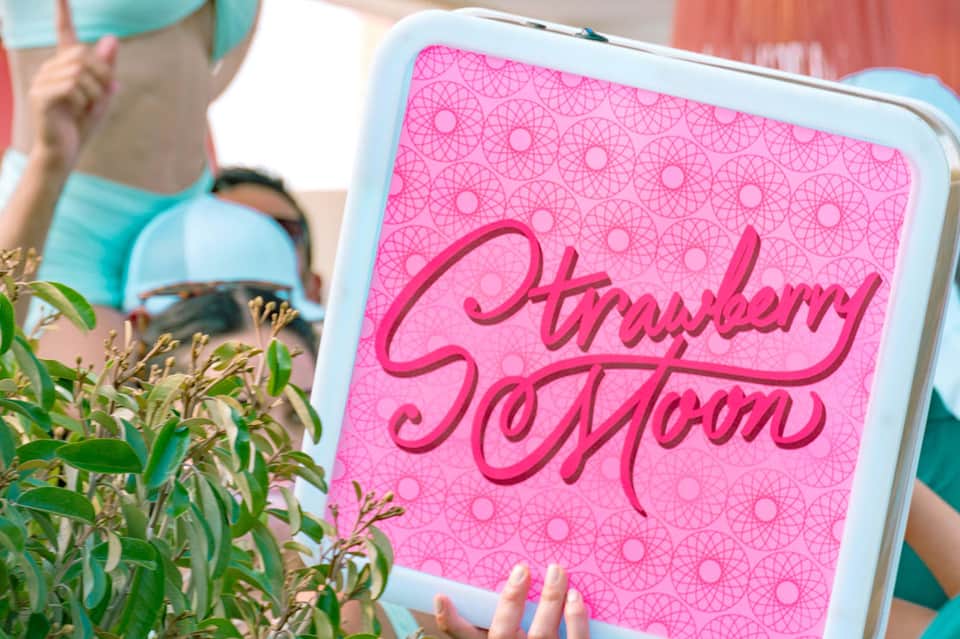 Strawberry Moon branded pink box held outdoors with plants visible
