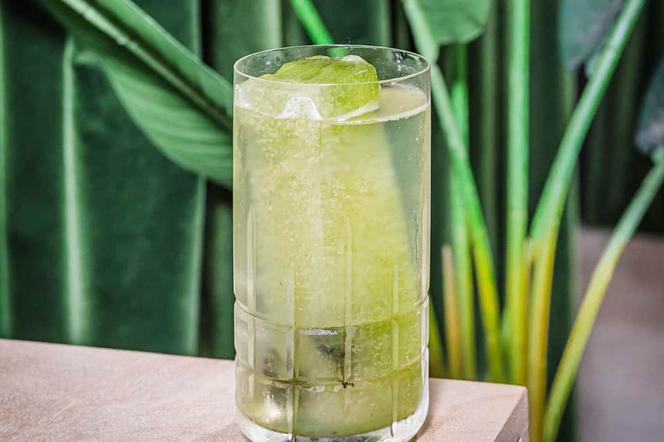 Refreshing cocktail with lime slice and ice in a tall glass against green foliage background