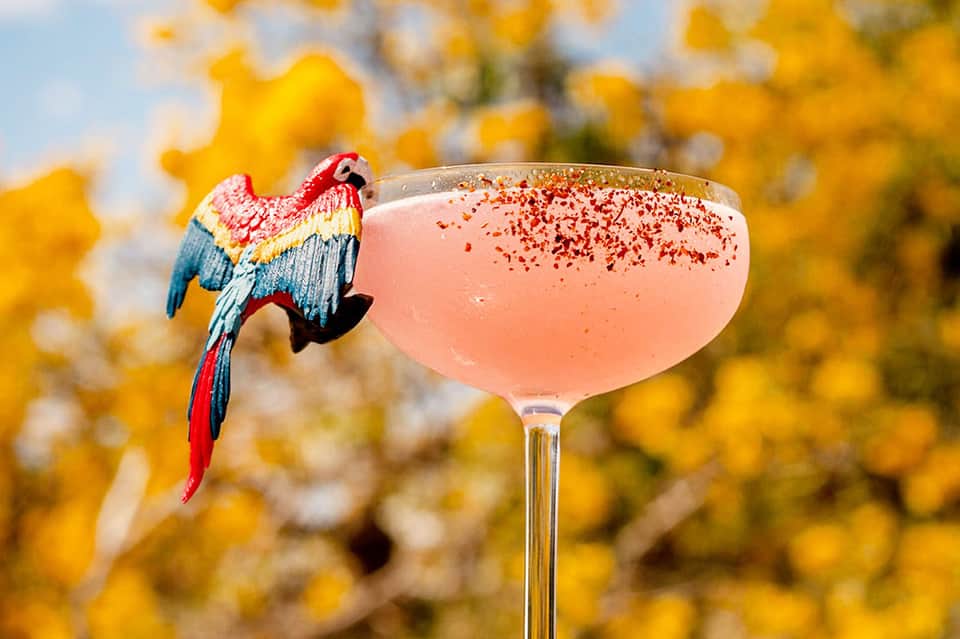 Pink cocktail with rose gold glitter rim and colorful parrot decoration against yellow flowers