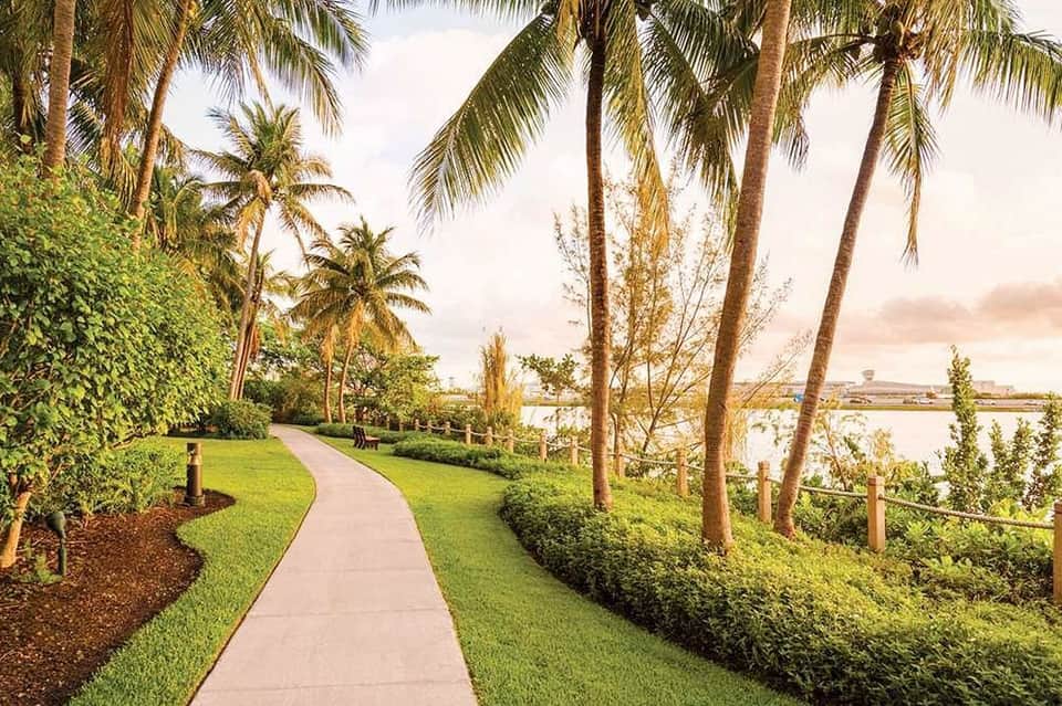 Curved walkway lined with palm trees and manicured lawn leading to waterfront with distant buildings